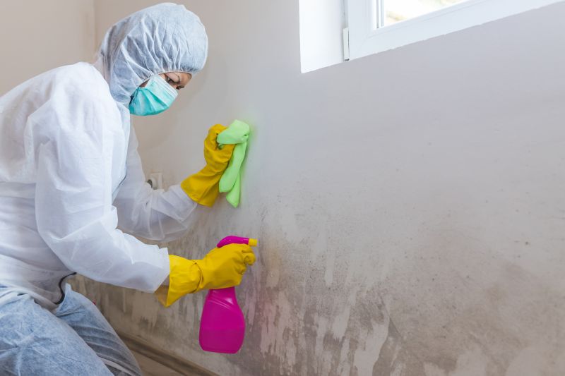 Air Duct Mold Removal in Frisco, TX
