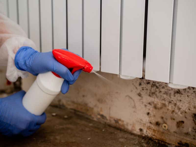 Basement Mold Remediation in Boca Raton, FL