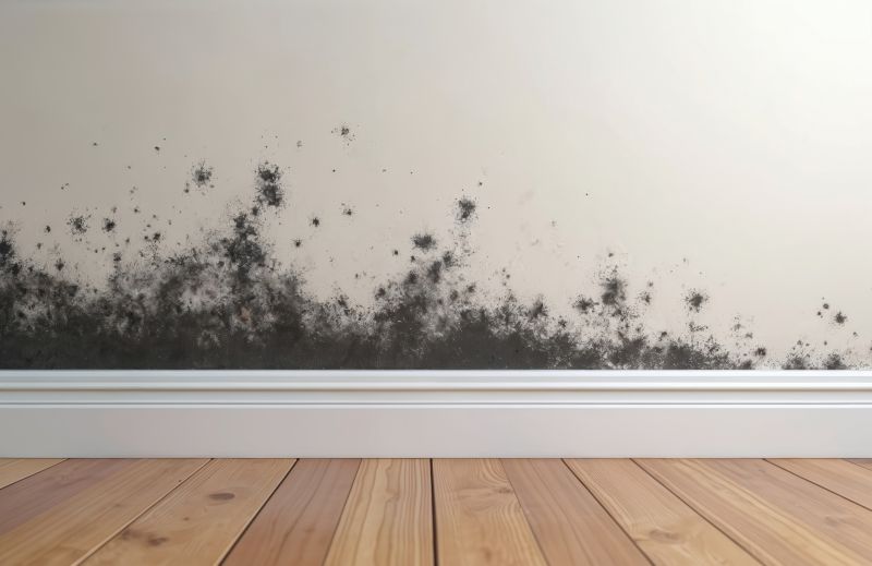 Basement Mold Remediation in Frisco, TX