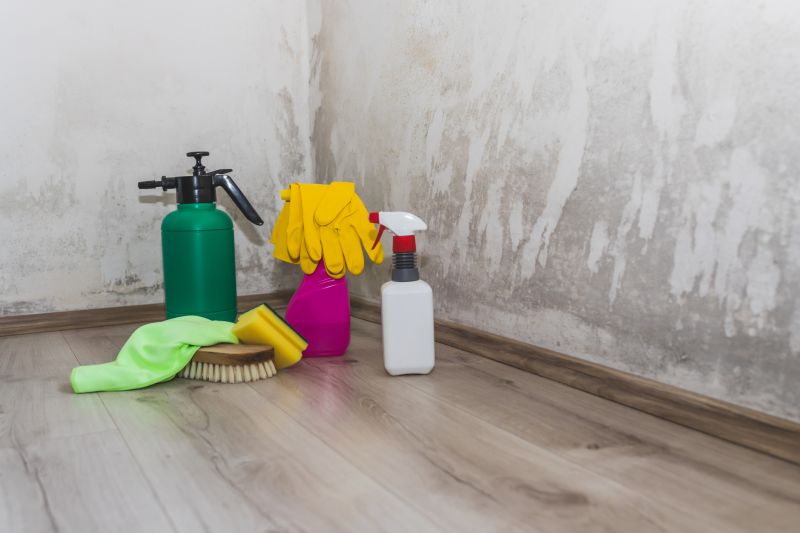 Crawl Space Mold Removal in Bergen County, NJ