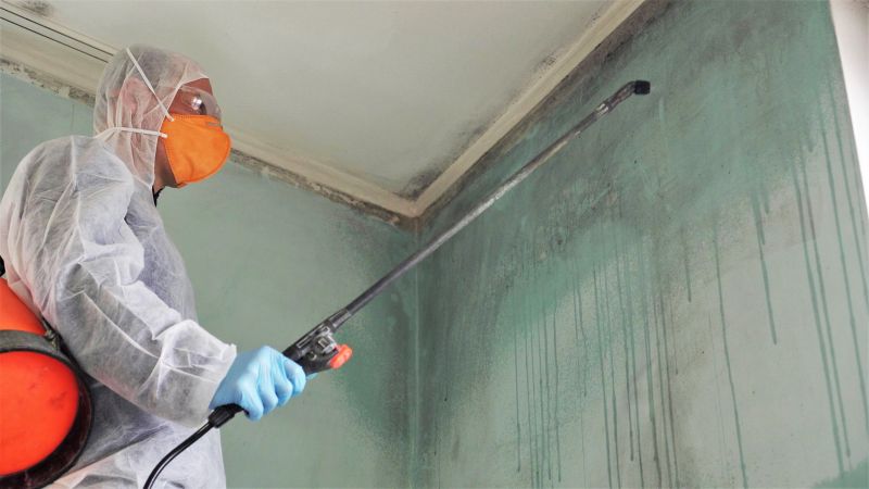 Crawl Space Mold Removal in West Palm Beach, FL