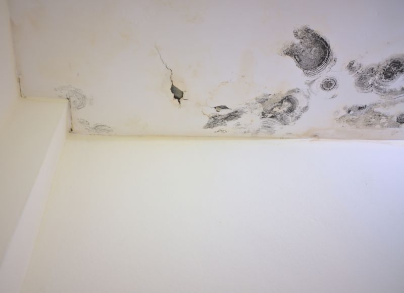 Garage Mold Remediation in West Palm Beach, FL