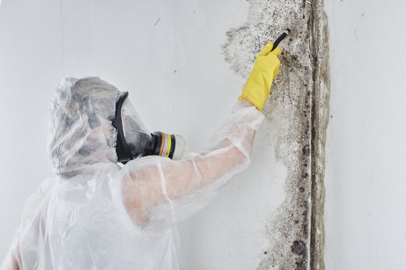 Mold Abatement in Palm Beach County, FL