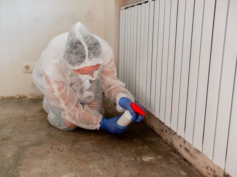 Mold Abatement Service in Bergen County, NJ