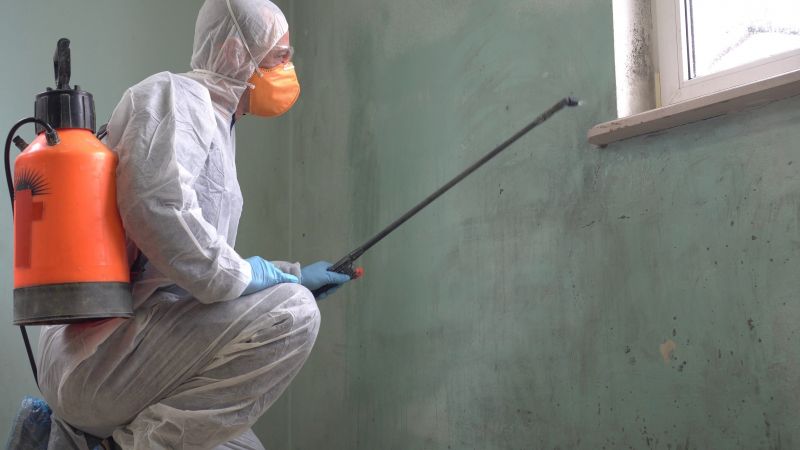 Mold Control in Boynton Beach, FL