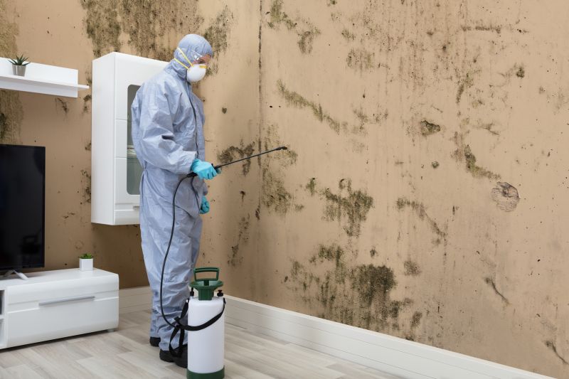 Mold Detection in Plano, TX