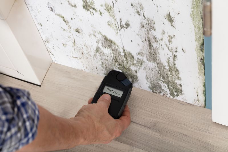 Mold Detection in West Palm Beach, FL