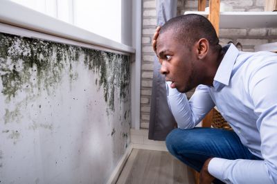 Mold Inspection And Removal in Boynton Beach, FL