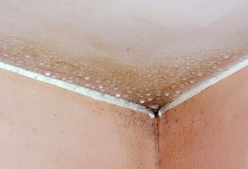 Mold Mitigation Service in West Palm Beach, FL