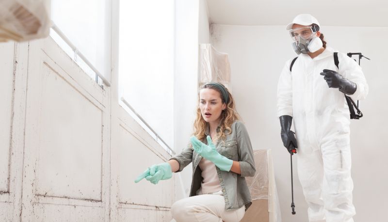 Mold Mitigation Service in Broward County, FL
