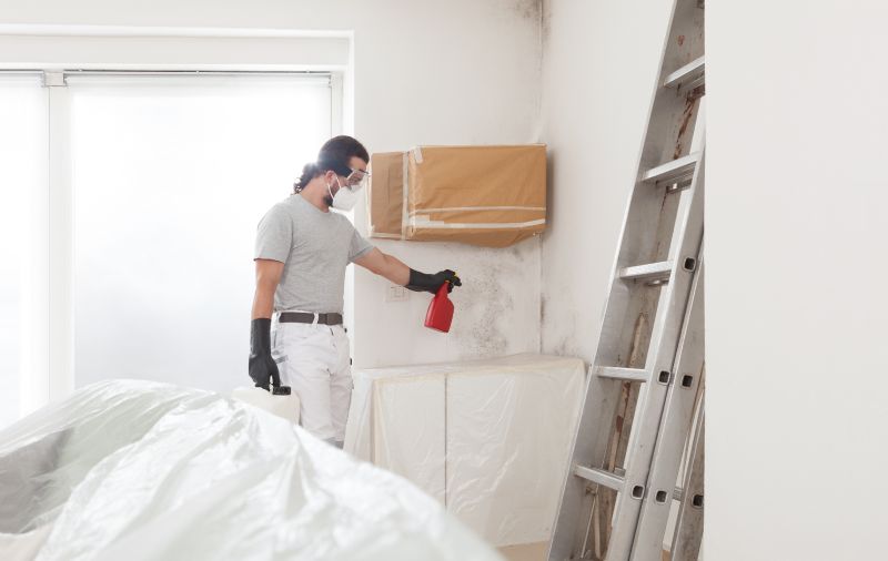 Mold Mitigation Service in Essex County, NJ