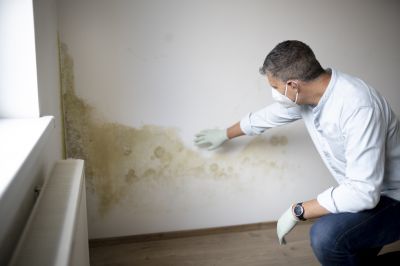 Mold Remediation Service in Broward County, FL