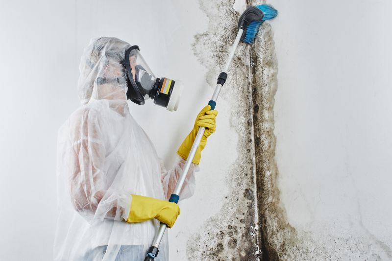 Mold Remediation Service in Bergen County, NJ
