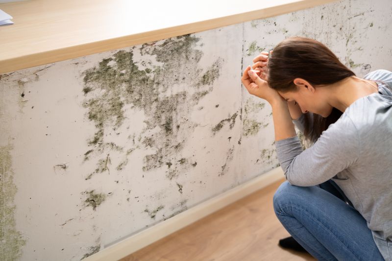 Mold Removal in Frisco, TX