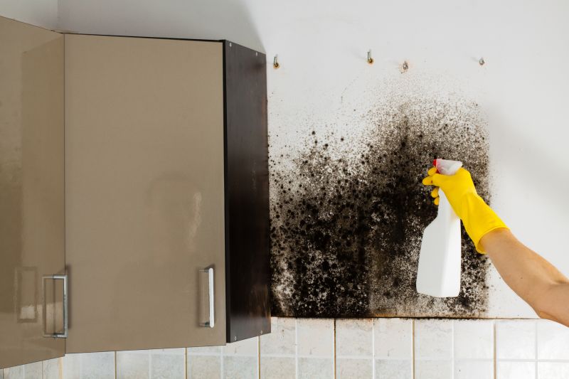 Mold Removal in Jupiter, FL