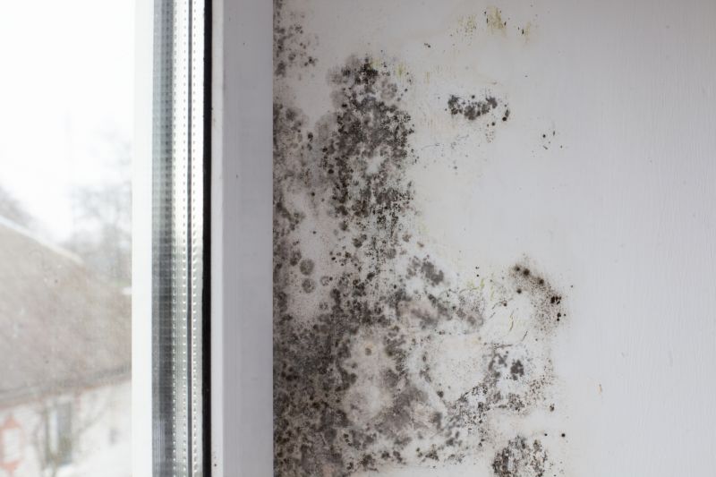 Mold Removal in Essex County, NJ
