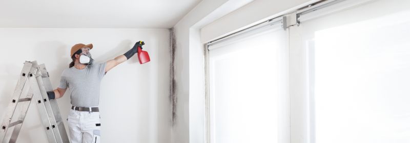 Mold Removal in Dallas, TX