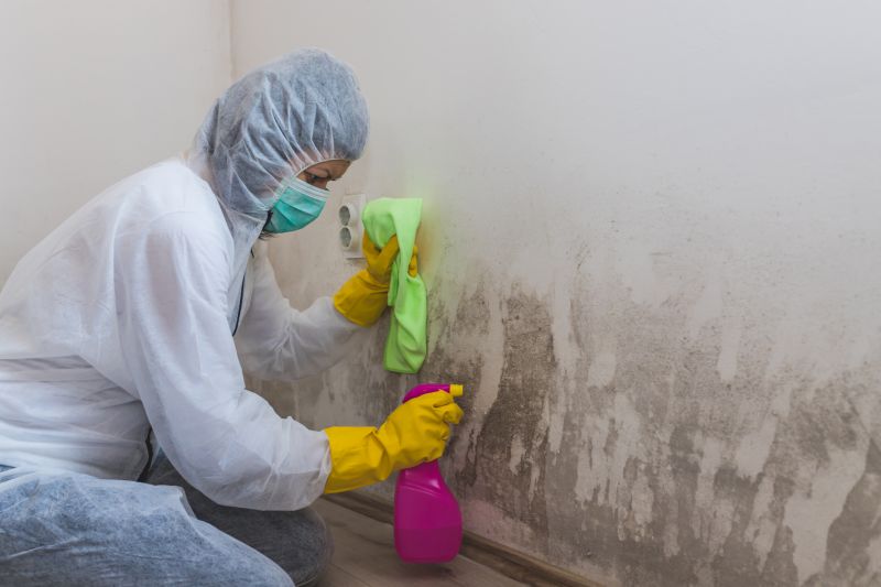 Air Duct Mold Removal in Broward County, FL