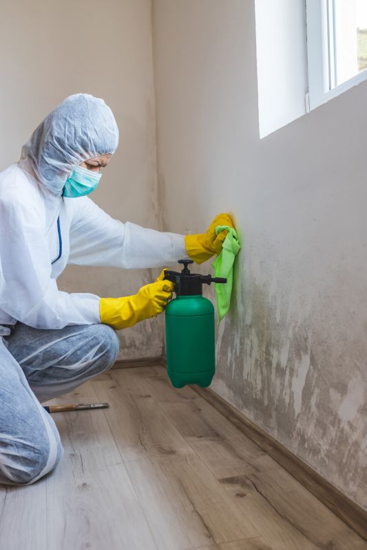 Attic Mold Remediation in Frisco, TX