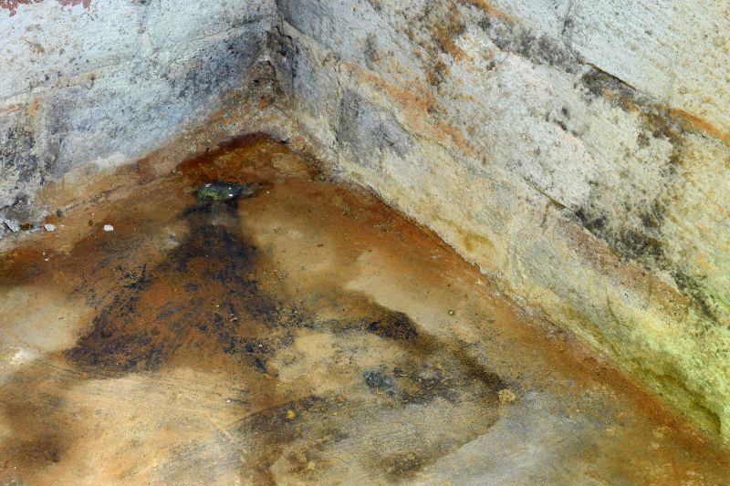 Basement Mold Removal in Jupiter, FL