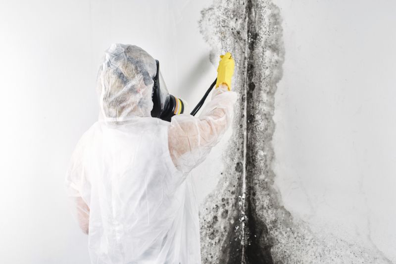 Crawlspace Mold Remediation in West Palm Beach, FL