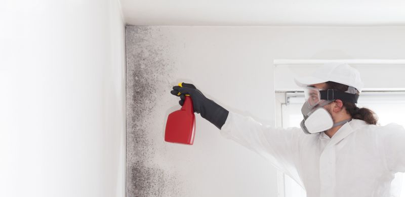 Crawlspace Mold Remediation in Jupiter, FL