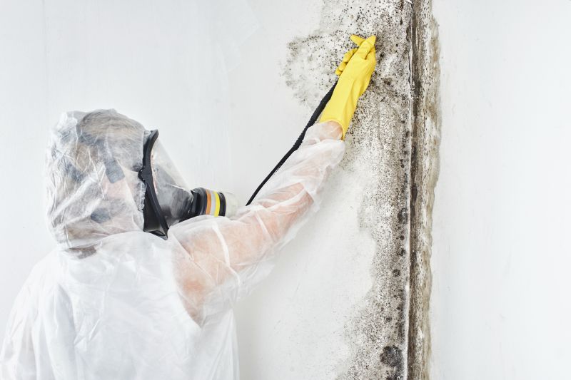 Mold Control in Boca Raton, FL