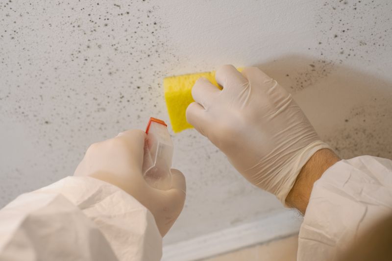 Mold Restoration in Fort Lauderdale, FL