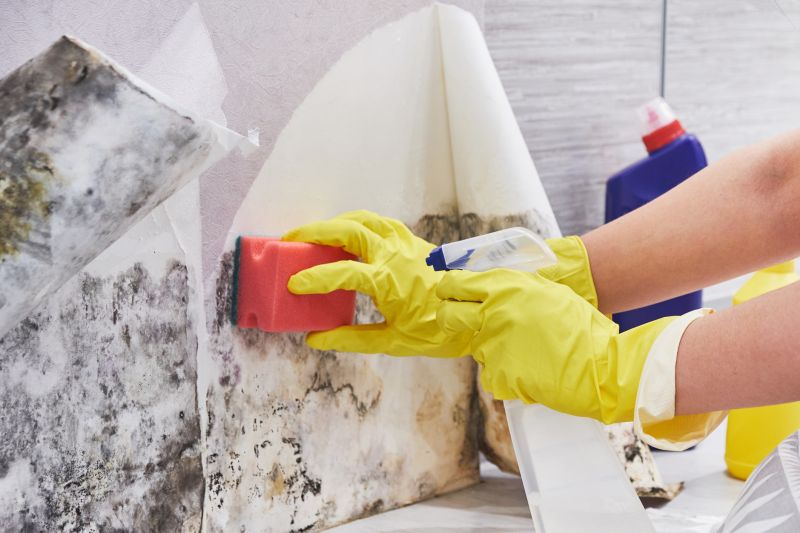 Mold Treatment Service in Essex County, NJ