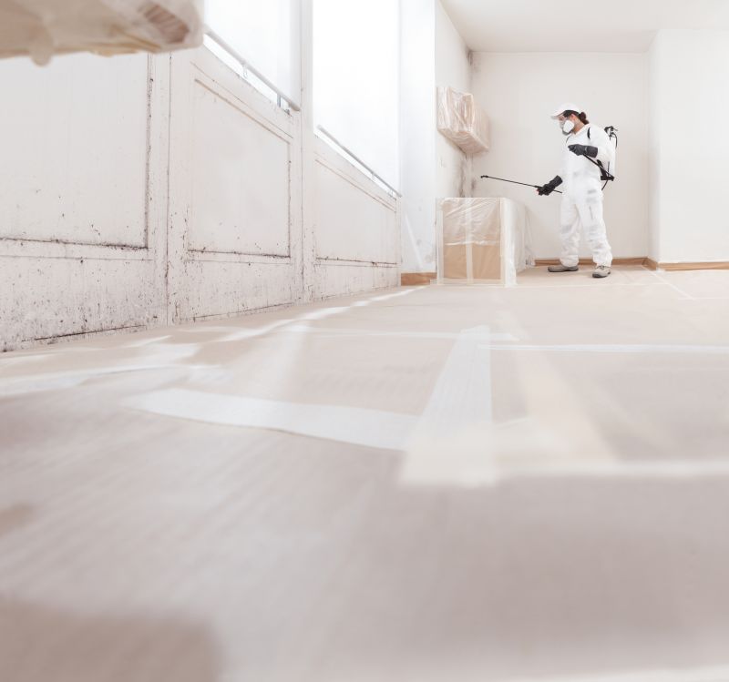 White Mold Mitigation in Dallas, TX